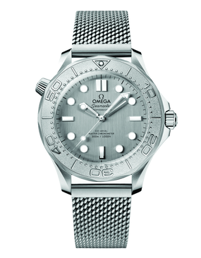 Omega Seamaster Diver 300M Reference 210.30.42.20.06.002 — Craig